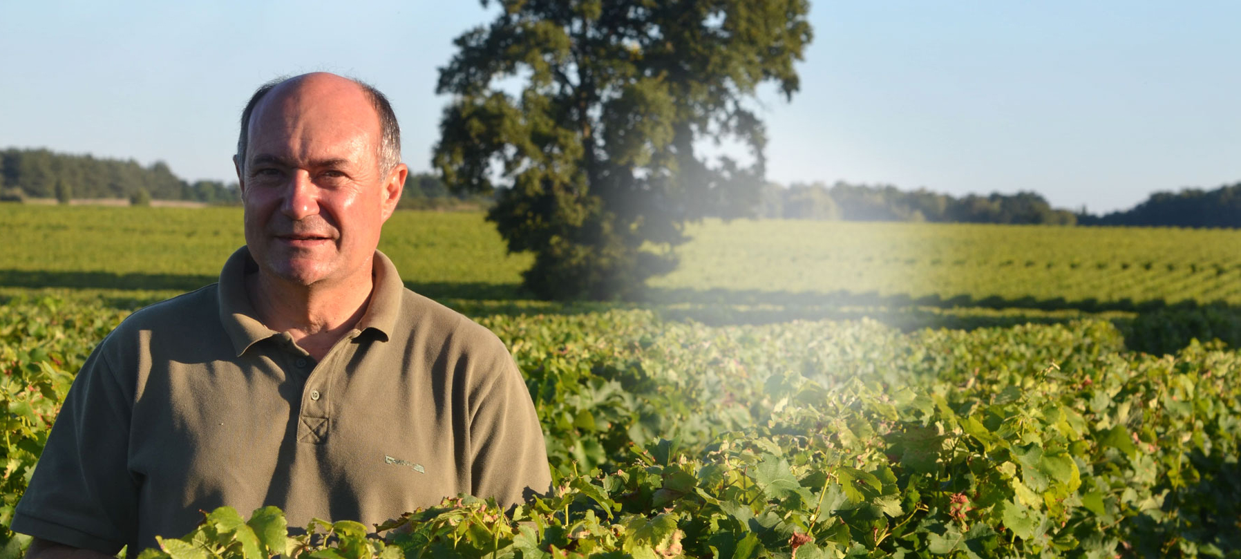 Dry Creek Vineyard Dry Chenin Blanc